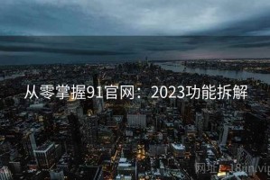 从零掌握91官网：2023功能拆解