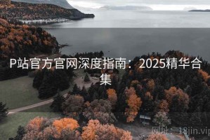 P站官方官网深度指南：2025精华合集