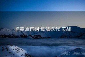 鉴黄师官网 算法迭代 实战
