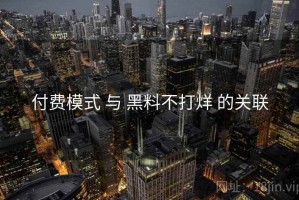 付费模式 与 黑料不打烊 的关联