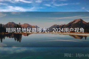 暗网禁地秘籍曝光：2024用户视角