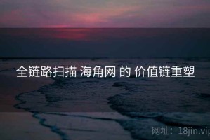 全链路扫描 海角网 的 价值链重塑