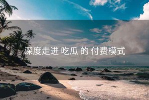深度走进 吃瓜 的 付费模式