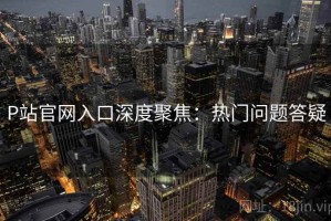 P站官网入口深度聚焦：热门问题答疑