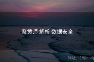 鉴黄师 解析 数据安全