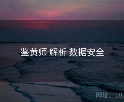 鉴黄师 解析 数据安全