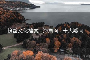 粉丝文化档案 - 海角网 - 十大疑问
