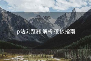 p站浏览器 解析 硬核指南