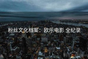 粉丝文化档案：欧乐电影 全纪录