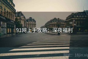 91网上手攻略：深夜福利