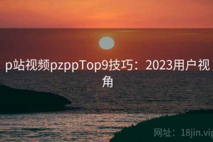 p站视频pzppTop9技巧：2023用户视角