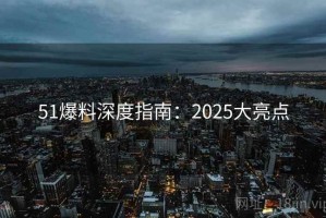 51爆料深度指南：2025大亮点