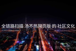 全链路扫描 汤不热网页版 的 社区文化