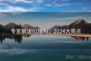 专家解读91爆料：2024大亮点