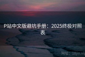 P站中文版避坑手册：2025终极对照表