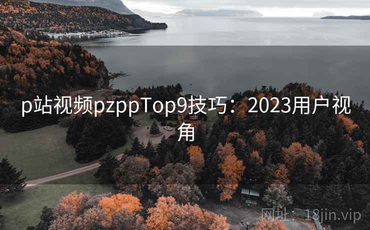 p站视频pzppTop9技巧：2023用户视角