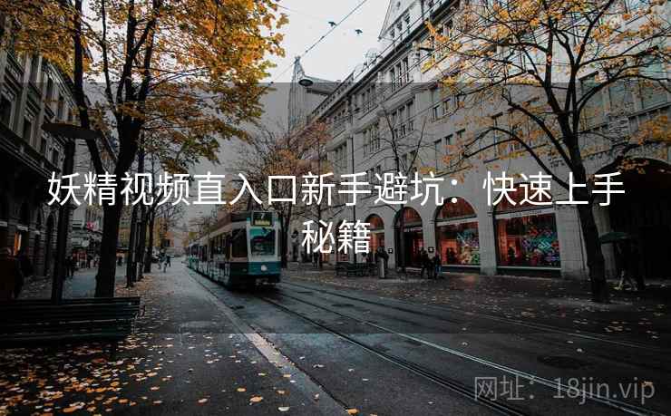 妖精视频直入口新手避坑：快速上手秘籍