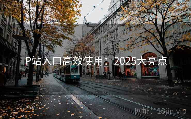 P站入口高效使用：2025大亮点