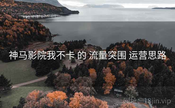神马影院我不卡 的 流量突围 运营思路