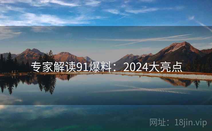 专家解读91爆料：2024大亮点