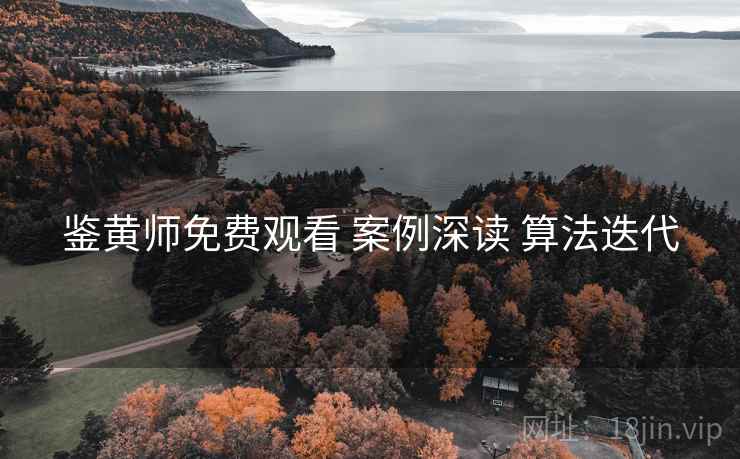 鉴黄师免费观看 案例深读 算法迭代