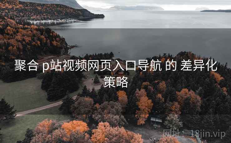 聚合 p站视频网页入口导航 的 差异化策略