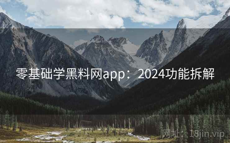 零基础学黑料网app：2024功能拆解