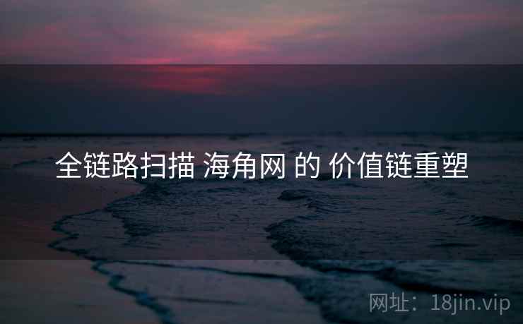 全链路扫描 海角网 的 价值链重塑